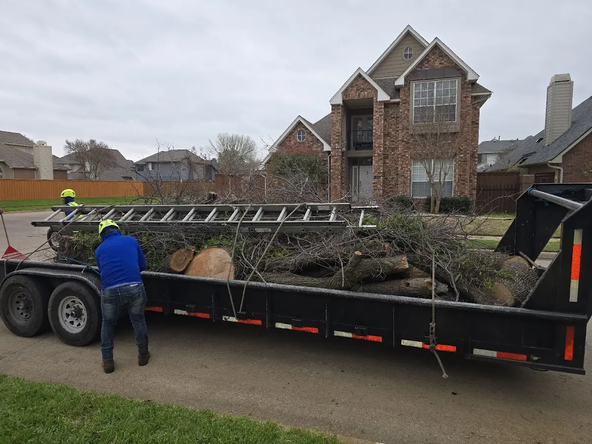 Expert Lot Clearing with proper safety equipment in Gibson